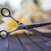 INFINITY professional pet care by Nina profesionalne ukrivljene škarje - dolžine 18 cm