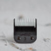 Optimum nastavek za striženje psov - Size 3 ali 13 mm
