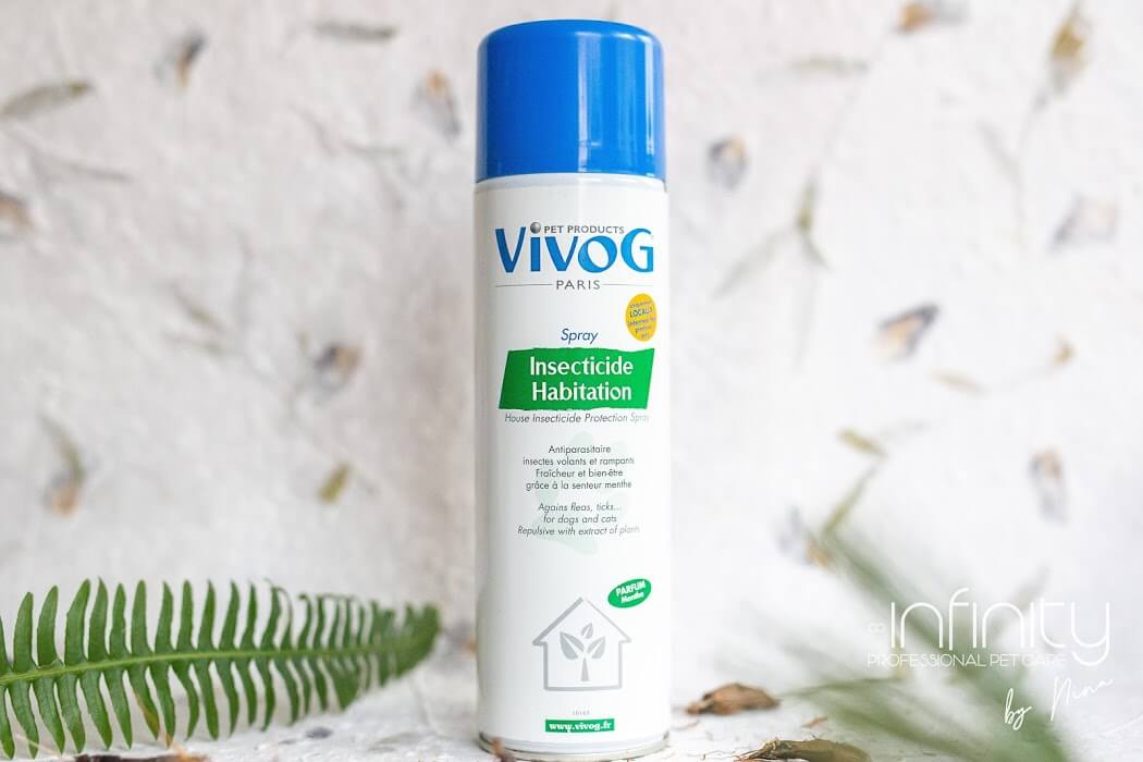 Sprej za bolhe v prostorih VIVOG