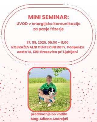 uvod v energijsko komunikacijo