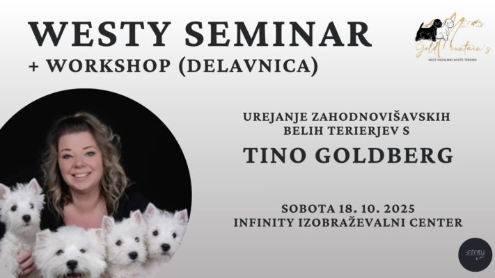 WESTY seminar+delavnica